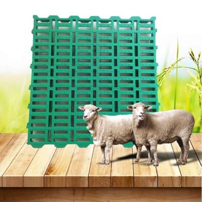 China Farms Zhongxing 600*600mm plastic slat flooring for goat sheep farming plastic flooring for goat farm for sale