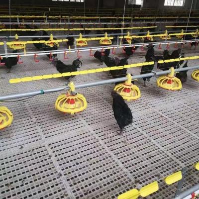 China Farms 1200*500*40mm Poultry Farm Chicken Broiler Slat Flooring Poultry Slat Flooring Price for sale