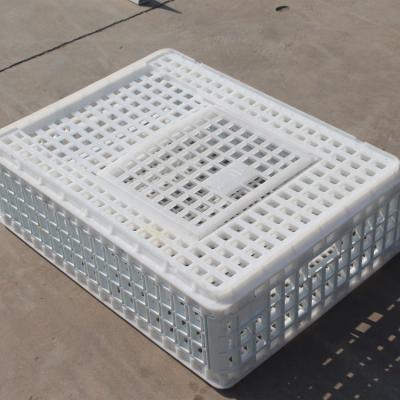 China Chicken Farm 740*555*270mm Plastic Transport Crate Live Chicken Transport Cage For Chicken Duck Goose Turkey for sale