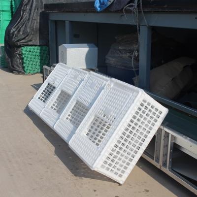 China Farms Various Type of Poultry Transport Cage Plastic Live Chicken Transport Cage for sale