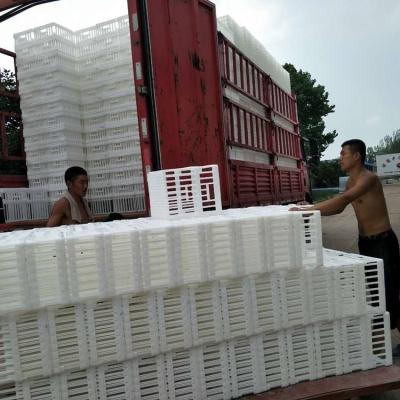 China Cultivate pure plastic egg crate high quality pure plastic egg transport box pp turnover egg shift crate for sale