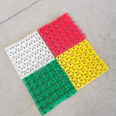 China Grows various color of 30 holes plastic egg tray plastic packing carton /crate/tray for sale