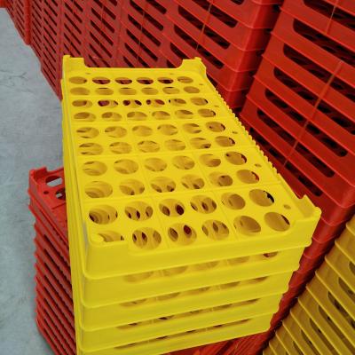 China Agriculture Cheap Price 60 Cell Egg Tray Plastic Egg Tray For Chicken Egg Transport for sale