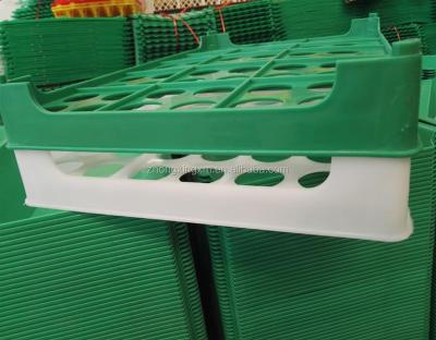 China Plastic Egg Chicken Egg Tray 60 Chicken Carrier Crate Price for sale