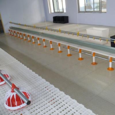 China Farms Poultry Slat For Broiler Farm 1200*500*40mm Plastic Chicken Slat Floor for sale