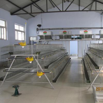 China Farms Hot Dip Galvanized Wire Mesh Cage For Layer Chickens Egg Chicken Cage for sale