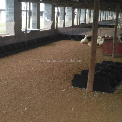 China Farms Good Quality Duck Nest Box For Laying Eggs Duck Nest For Sale for sale