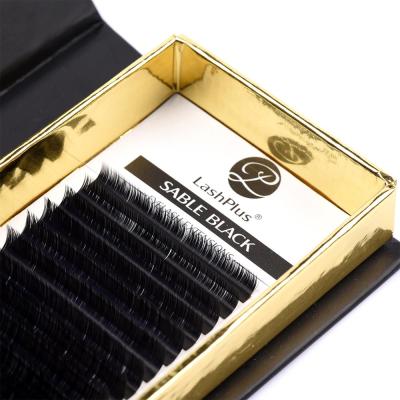 China Customized Natural Individual Papers Lash Packaging Gold Lash Tray 0.10 C Loop 16 Rows Eyelash Extensions for sale