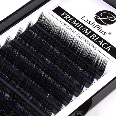 China Volume Easily Fans Fiber Lashes Extension 03 Korean Black Thick Lash Trays 17mm Eyelash Extensions for sale