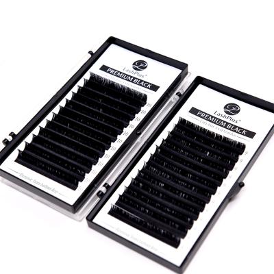 China Private Label Volume Natural Eyelash Extensions Easy Fanning Lashes for sale