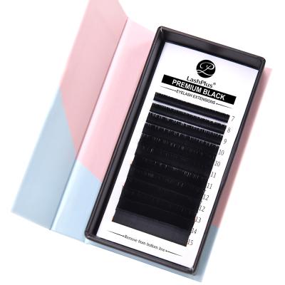 China Mink Korean Silk Brand Supplies Luxury Black Premium Natural Eyelash Extension Licks Professional Wholesale OEM Mink Korean Silk Clean Tapered Wick for sale