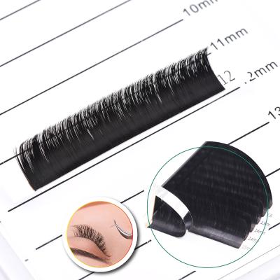 China Glitter & Lash Own Brand Eyelash Wholesale Price Flat Eyelash Extensions LshPlus Extension False Eyelashes Natural Cashmere Shimmery Ellipse for sale