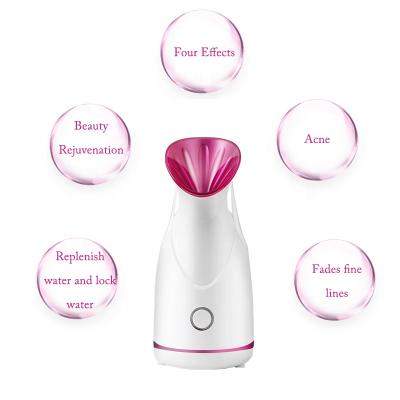 China 2021 Acne Treatment Bulk Order Multifunctional Facial Machine With Hand Held Mini Spa Electrified Facial Steamer for sale