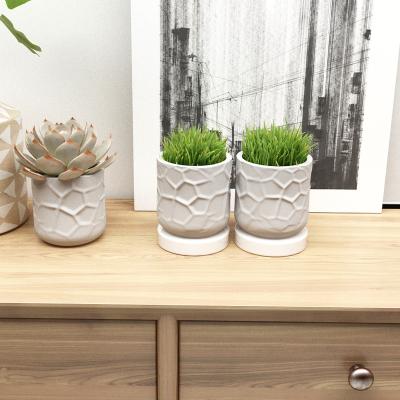 China Easy to release new design plant succulent flowerpot concrete pot mold cement container molds for sale