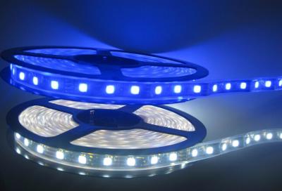 China LED Flexiable Strips SMD5630 IP20 single color DC12V white color high brightness for sale