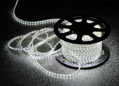 China LED Flexiable strips high brightness addressable Multi color changeable DC12V DC24V for sale