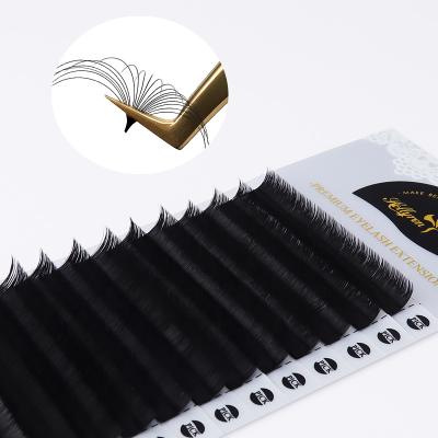 China Vendor Extend De Cil Soi Easy Fan Lashes Dual Density Dual Density Fan Lashes C Long Fan High Quality Natural Easy Eyelash Extension for sale