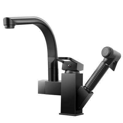 China Modern 360 Rotation Kitchen Faucet With Pull Out Spray Two Handle Hot And Cold for sale