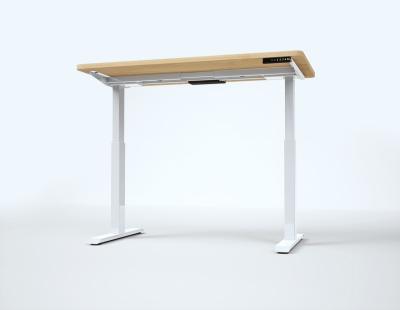 China OEM Adjustable Professional Height Computer Desk Standing Desk (Height) With Dual Motor Adjustable Standing Desk for sale