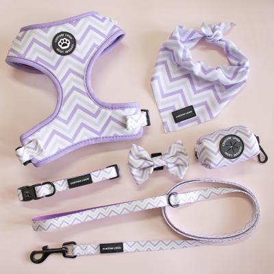 China Viable Manufacturer New Arrival Wholesale Custom Design Pet Harness Set Adjustable Neoprene Dog Harness Vest for sale