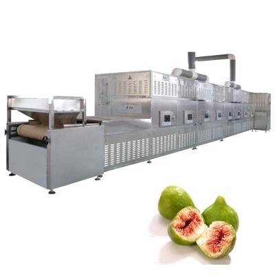 China High Efficiency Stainless Steel Microwave Vegetable Dehydration Sterilization Equipment for sale