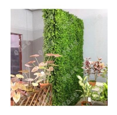 China Decorative Minimalist Artificial Grass Follaje Grass Wall Boxwood Panels For Garden for sale