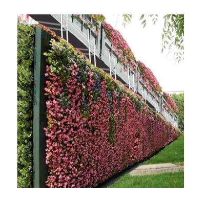 China Minimalist Green Foliage Wall Backdrop Artificial Grass Wall Panels For Outdoor Decor for sale