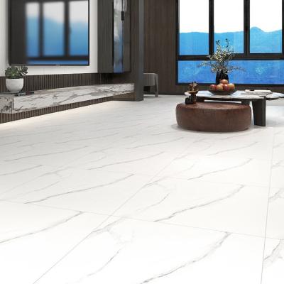 China 600*600 Modern White Color Matte Rustic Floor Porcelain Tiles in China for sale