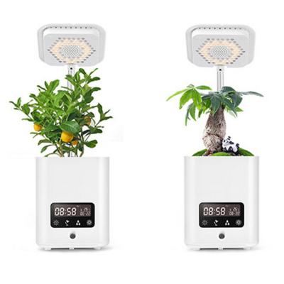 China New Arrival Garden Desk Lamp Humidifier Usb Multifunctional Creative Indoor Hydroponic Plant Smart Pot Humidification/Purification/Speaker/Air Planting for sale