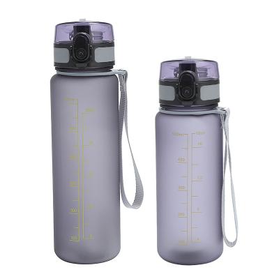 China Amazon Viable Hot Sale Gallon Infuser Bottle 500ML Transparent Bullet Gallon Bottles Tritan Leak Proof Sports Bottle Jug for sale