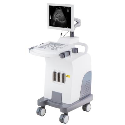 China HBW-11 Metal Plus Full PC Based Digital Trolley B/W Ultrasound Machine for sale