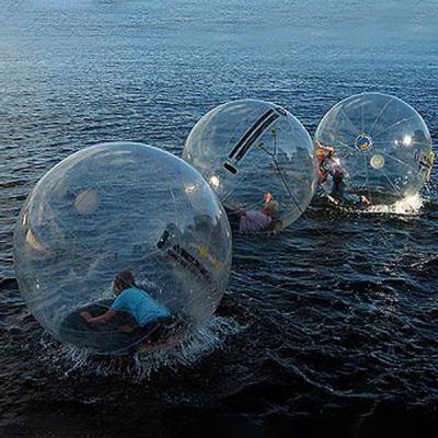 China Cheap PVC Water Inflatable Water Ball Toy High Quality Inflatable Water Bubble Running Wall For Walking Kids/Adult for sale