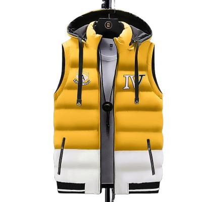 China Breathable Fashion Double Sided Windproof Fashion Sleeveless Warm Hooded Outdoor Casual Double Sided Sports Mens Vest for sale