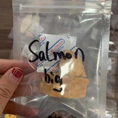 China LOW MOQ Sustainable OEM Private Label Freeze Dried Ocean Fish Salmon For Cat Treats for sale