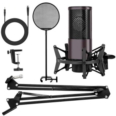 China Large Diaphragm COMPUTER Microphone Handheld Conference Microphone Shock Mount Stand Studio Microphone Desktop Recording for sale