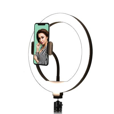 China 10 Inch Mini Circle LED Selfie Fluorescent O Ring Light with Tripod Stand for Iphone Tik Tok for sale