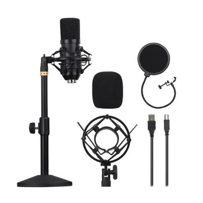 China Handheld Quality IC CondenserCustom Logo Microphone Choir Condenser Microphone Recording Microphone Studio Microphone No White Noise for sale