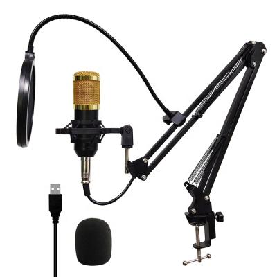 China Handheld Microphone BM800 Live Broadcast Equipment Wholesale WF2 Microphone USB Studio Microphone For Recording Studio for sale