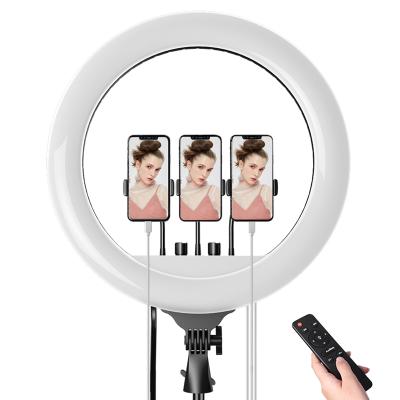 China Mini 18inch Tik Tok Ring Light Camera Tripod for Makeup Photography with Phone Holder Outdoor for sale