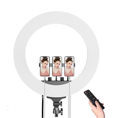 China Mini 22inch Ring Light With Ttripod 3 Holder Tik ToK Fill Lamp Two-color Phone Brackets For Selfie Vlogging for sale