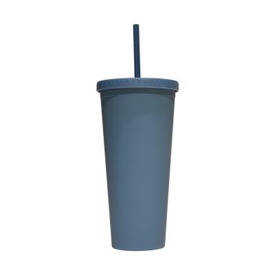 China Custom Colored Modern Rocker Insulated Plastic Straight Skinny Tumbler Straws Cups Viable Wholesale for sale