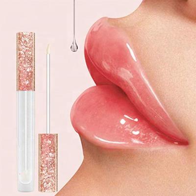 China Waterproof Natural Lip Gloss Vendor Makeup Cosmetics Enhancer Liquid Lip Gloss Plumper for sale