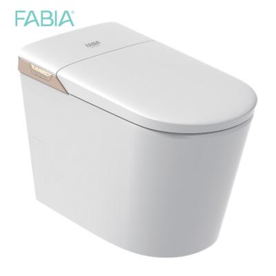 China White Automatic Sensor Sanitary One Piece Automatic Flush Bidet Automatic Operation Ware Smart Adult Smart Toilet Seat for sale