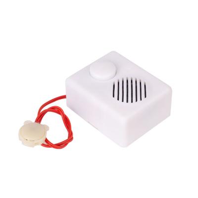 China Highrich 2022 19 Years OEM Factory OEM USB Sound Sound Music Box Module Electric Toy for Plush Toys and Doll for sale