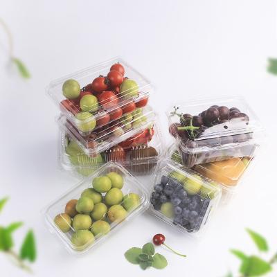 China Clear disposable PET fruit box plastic packaging box with lid, high-grade preservation fruit and vegetable packaging box for sale