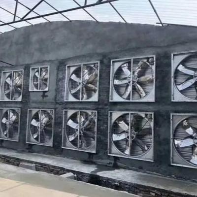 China Farms Galvanized Sheet Best Selling Ventilation / Exhaust Fan For House And Poultry Farm for sale