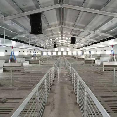 China Automatic Farms Hog Feeding System Farm Equipment Line Animal Feeding System for sale