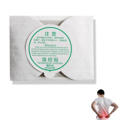 China Knee Pain Relief Hot Moxibustion Convenient Patch Plaster Leg Pain Relief Wormwood Sticker for sale