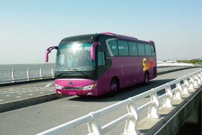 China Rose 24-52 Sitzer Reisebus Rückfahrt Rückfahrt 6x2 Diesel Minibus zu verkaufen