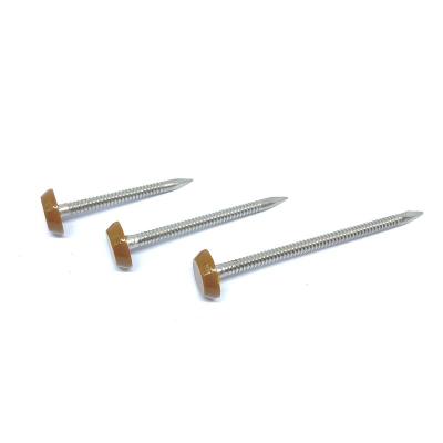 Chine le poly chef de plastique supérieur de 65mm cloue l'acier inoxydable A2 Ring Shank Nails/goupilles à vendre